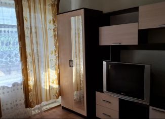 Сдается в аренду однокомнатная квартира, 23 м2, Ростов-на-Дону, улица Лелюшенко, 9/1