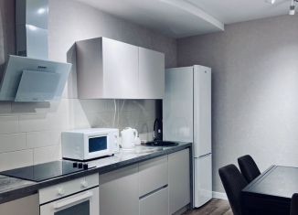 Сдаю в аренду однокомнатную квартиру, 50 м2, Саратов, Соколовая улица, 10/16к1