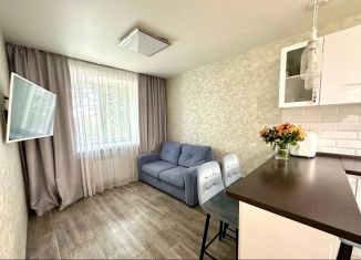 Продаю 2-ком. квартиру, 49.5 м2, Абакан, улица Журавлёва, 3