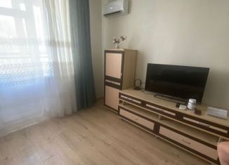 Сдаю однокомнатную квартиру, 50 м2, Ростов-на-Дону, Доломановский переулок, 17