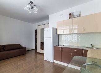 Квартира на продажу студия, 25.3 м2, Санкт-Петербург, Арцеуловская аллея, 23к1