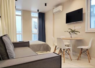 Сдаю квартиру студию, 30 м2, Сочи, улица Лысая Гора, 33/1