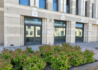 Продам помещение свободного назначения, 117.1 м2, Санкт-Петербург, набережная Обводного канала, 106, муниципальный округ Измайловское