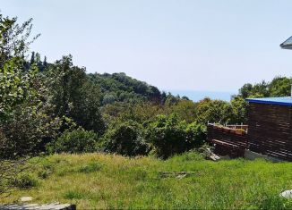 Продаю участок, 6 сот., Сочи, садоводческое товарищество Зефанос-4, 47