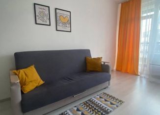 Сдаю в аренду квартиру студию, 24.4 м2, Санкт-Петербург, улица Владимира Пчелинцева, Красносельский район