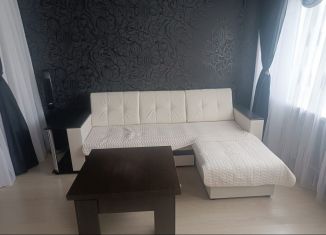 Сдача в аренду 1-комнатной квартиры, 35 м2, Пенза, проспект Победы, 96Е