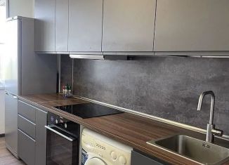 Сдам в аренду 1-комнатную квартиру, 42 м2, Ростов-на-Дону, Днепровский переулок, 117с2