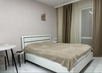 Аренда квартиры студии, 30.8 м2, Сочи, улица Искры, 88к3