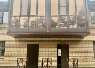 Продажа 3-комнатной квартиры, 130 м2, Дзержинск, улица Чапаева, 80И