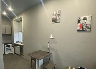 Продаю квартиру студию, 16.8 м2, Москва, Промышленная улица, 8