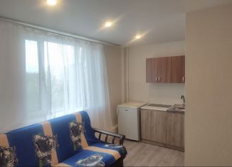 Аренда квартиры студии, 17 м2, Пермь, Подлесная улица, 17