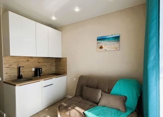 Сдается в аренду квартира студия, 17 м2, Сочи, Ясногорская улица, 16/2к10