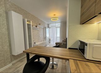 Сдача в аренду квартиры студии, 25 м2, Ростов-на-Дону, Береговая улица, 73с1