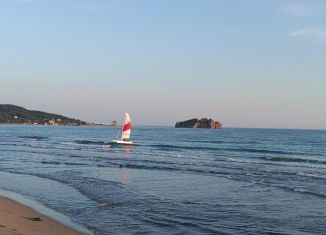 Продаю дом, 77.5 м2, Приморский край, Лесная улица, 3