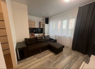 Сдача в аренду квартиры студии, 24.7 м2, Республика Башкортостан, улица 7 Ноября, 5А