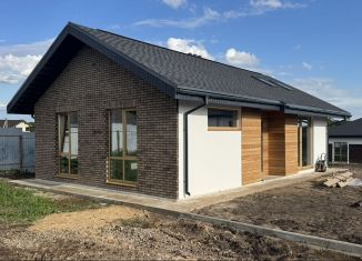 Продается дом, 78 м2, деревня Ройка, деревня Ройка, 52