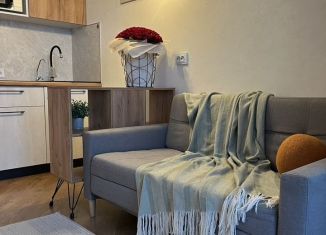 Сдается 1-ком. квартира, 32 м2, Мурино, Воронцовский бульвар, 21к2