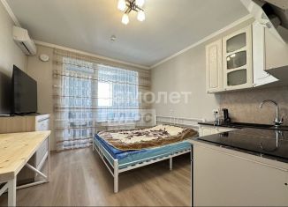 Продается квартира студия, 20.3 м2, посёлок Парголово, Брюлловская улица, 5