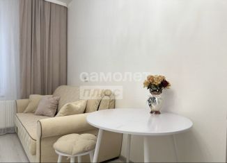 Продается квартира студия, 24.6 м2, Санкт-Петербург, проспект Будённого, 23к4