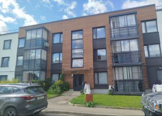 2-ком. квартира на продажу, 59 м2, деревня Красный Поселок, улица Фадеева, 12, ЖК Сампо