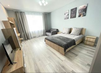 Сдаю 1-комнатную квартиру, 45 м2, Калининград, улица Маршала Жукова, 13