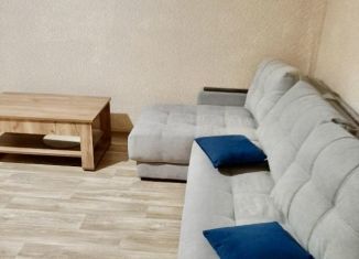 Сдается в аренду 1-комнатная квартира, 40 м2, Саратов, улица имени Братьев Никитиных, 8