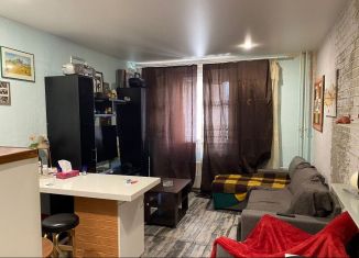 Сдача в аренду квартиры студии, 25 м2, Мурино, проспект Авиаторов Балтики, 25, ЖК Авиатор