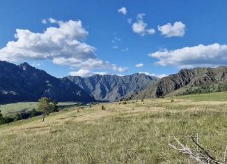 Продам земельный участок, 21 сот., Республика Алтай