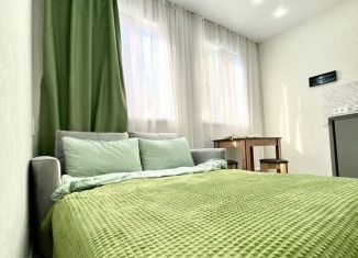 Сдам в аренду квартиру студию, 20 м2, Сочи, Береговая улица, 5