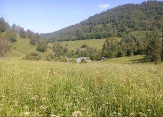 Продам участок, 579 сот., Республика Алтай