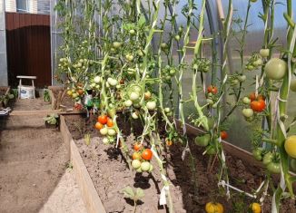 Продажа дома, 75.8 м2, деревня Чандрово, Чандровская улица, 8