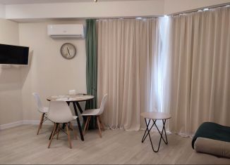 Сдаю в аренду квартиру студию, 26 м2, Сочи, Крымская улица, 44А