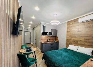 Аренда квартиры студии, 25 м2, Ростов-на-Дону, улица Нансена, 103/1/4