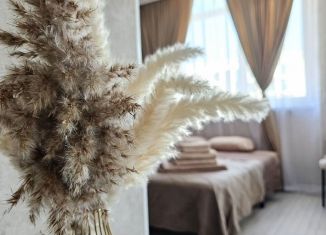 Продается квартира студия, 27.3 м2, Сочи, Полтавская улица, 21, микрорайон Мамайка