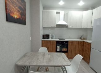 Сдается квартира студия, 38 м2, Ростов-на-Дону, Ворошиловский проспект, 82/4