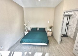 Сдаю в аренду 1-ком. квартиру, 34 м2, Ярославль, улица Закгейма, 2к2