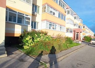 Однокомнатная квартира на продажу, 31.5 м2, сельский посёлок Новинки, Богородская улица, 6, ЖК Окский Берег