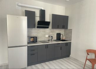 Сдаю квартиру студию, 35 м2, Ростов-на-Дону, улица Нансена, 109/3