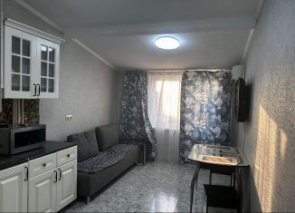 Сдача в аренду однокомнатной квартиры, 40 м2, Сочи, Загородная улица, 5/16