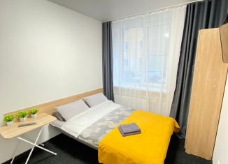 Сдаю квартиру студию, 16 м2, Ломоносов, 1-я Нижняя улица, 3