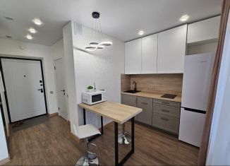 Аренда 1-ком. квартиры, 32 м2, Татарстан, улица Петра Полушкина, 4