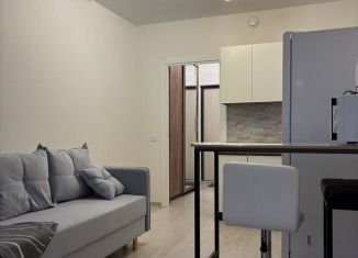 Сдам в аренду квартиру студию, 35 м2, Санкт-Петербург, Суздальское шоссе, 22к3, ЖК Новоорловский