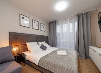 Сдается квартира студия, 22.1 м2, посёлок Парголово, Толубеевский проезд, 8к2