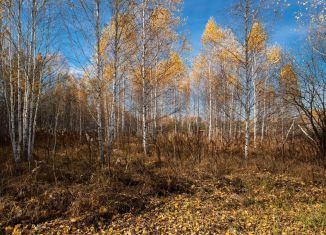 Земельный участок на продажу, 11 сот., Тюмень, Центральный округ, Первомайская улица