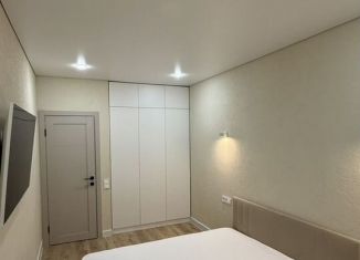 Аренда 1-ком. квартиры, 40 м2, Ростов-на-Дону, Красноармейская улица, 157В/83с3