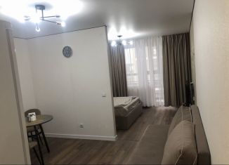 Сдаю квартиру студию, 40 м2, Удмуртия, улица Карла Маркса, 120к2