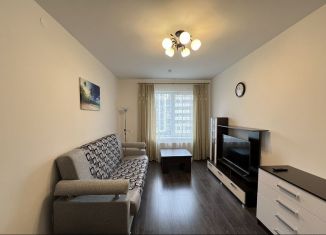 1-ком. квартира в аренду, 30.4 м2, Санкт-Петербург, проспект Ветеранов, 185к3, Красносельский район