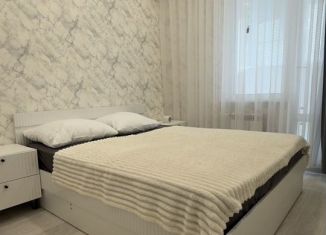 Сдаю 2-ком. квартиру, 40 м2, Пенза, улица Шмидта, 24