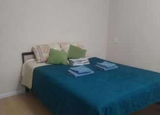 Сдается 1-комнатная квартира, 38 м2, Республика Башкортостан, улица Авроры, 3