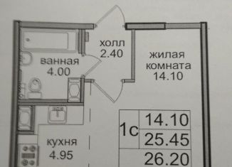 Сдам квартиру студию, 26 м2, посёлок Парголово, Толубеевский проезд, 14к1